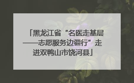 黑龙江省“名医走基层——志愿服务边疆行”走进双鸭山市饶河县