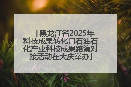 黑龙江省2025年科技成果转化月石油石化产业科技成果路演对接活动在大庆举办