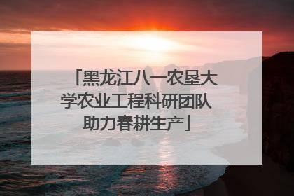 黑龙江八一农垦大学农业工程科研团队助力春耕生产