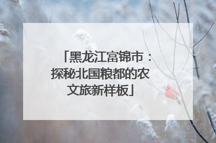 黑龙江富锦市：探秘北国粮都的农文旅新样板