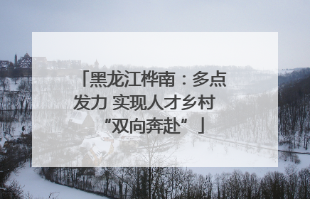 黑龙江桦南：多点发力 实现人才乡村“双向奔赴”