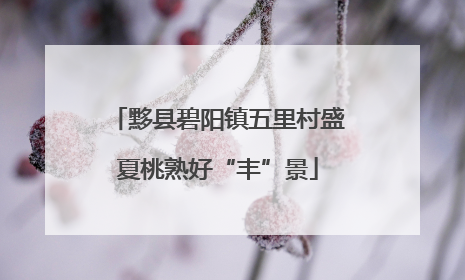 黟县碧阳镇五里村盛夏桃熟好“丰”景