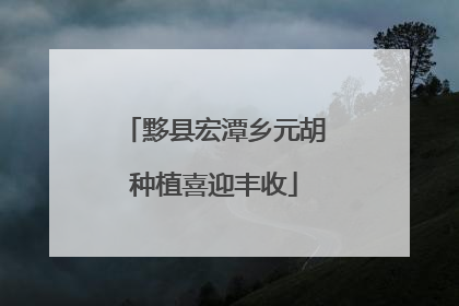 黟县宏潭乡元胡种植喜迎丰收