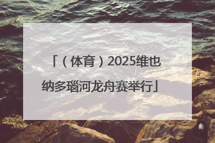 （体育）2025维也纳多瑙河龙舟赛举行