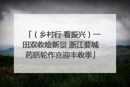 （乡村行·看振兴）一田双收绘新景 浙江婺城药膳轮作喜迎丰收季