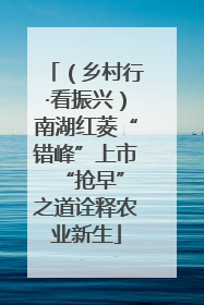 （乡村行·看振兴）南湖红菱“错峰”上市 “抢早”之道诠释农业新生