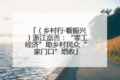 （乡村行·看振兴）浙江嘉善：“零工经济”助乡村民众“家门口”增收
