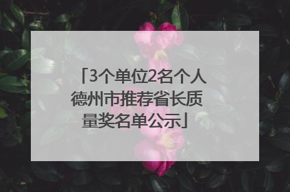 3个单位2名个人 德州市推荐省长质量奖名单公示