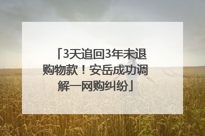 3天追回3年未退购物款！安岳成功调解一网购纠纷
