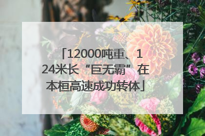 12000吨重、124米长“巨无霸”在本桓高速成功转体