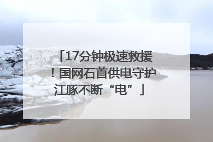 17分钟极速救援！国网石首供电守护江豚不断“电”