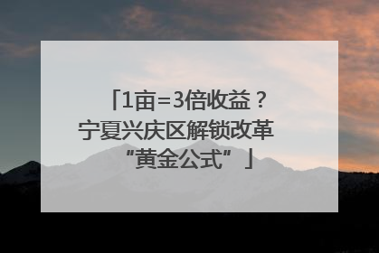 1亩=3倍收益？宁夏兴庆区解锁改革“黄金公式”