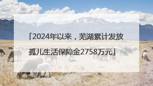 2024年以来，芜湖累计发放孤儿生活保障金2758万元