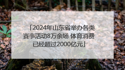 2024年山东省举办各类赛事活动8万余场 体育消费已经超过2000亿元