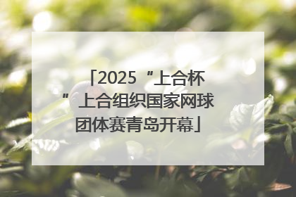 2025“上合杯”上合组织国家网球团体赛青岛开幕