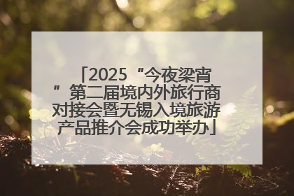 2025“今夜梁宵”第二届境内外旅行商对接会暨无锡入境旅游产品推介会成功举办