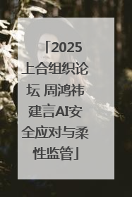 2025上合组织论坛 周鸿祎建言AI安全应对与柔性监管