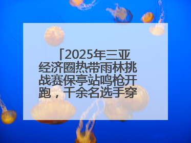 2025年三亚经济圈热带雨林挑战赛保亭站鸣枪开跑，千余名选手穿越雨林