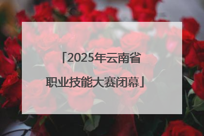 2025年云南省职业技能大赛闭幕