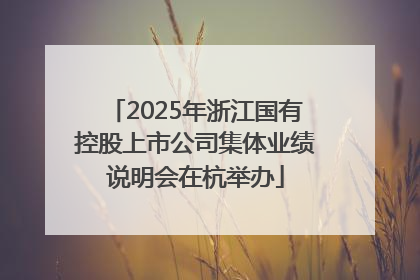 2025年浙江国有控股上市公司集体业绩说明会在杭举办