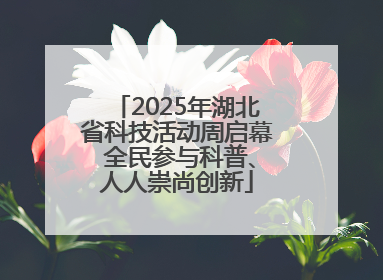 2025年湖北省科技活动周启幕 全民参与科普、人人崇尚创新