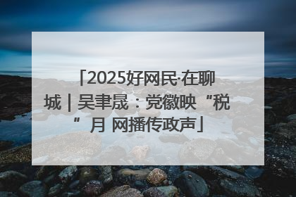 2025好网民·在聊城｜吴聿晟：党徽映“税”月 网播传政声