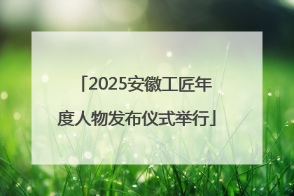 2025安徽工匠年度人物发布仪式举行