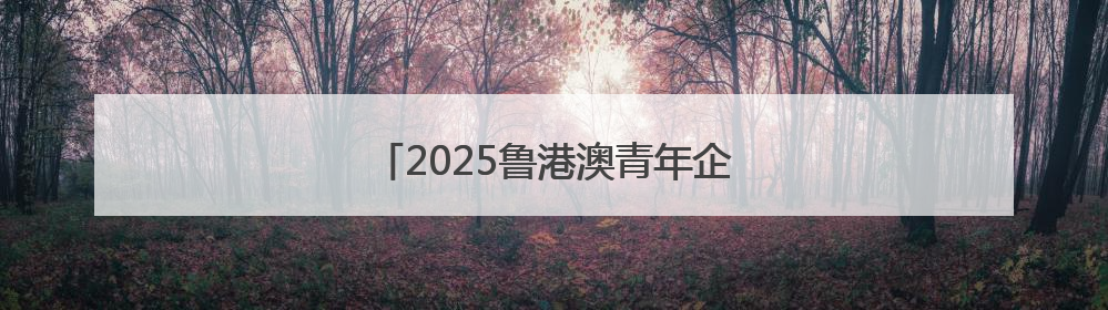 2025鲁港澳青年企业家交流会在香港举办