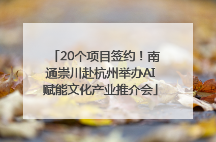 20个项目签约！南通崇川赴杭州举办AI赋能文化产业推介会
