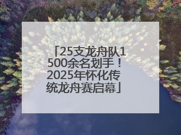 25支龙舟队1500余名划手！2025年怀化传统龙舟赛启幕