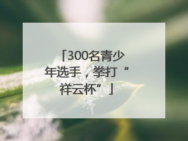300名青少年选手，拳打“祥云杯”