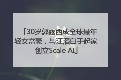30岁郭露西成全球最年轻女富豪，与汪滔白手起家创立Scale AI