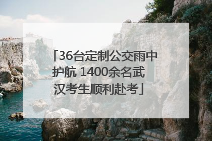 36台定制公交雨中护航 1400余名武汉考生顺利赴考