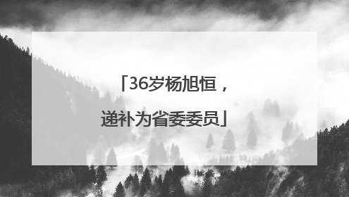 36岁杨旭恒，递补为省委委员