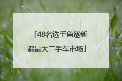 48名选手角逐新疆最大二手车市场