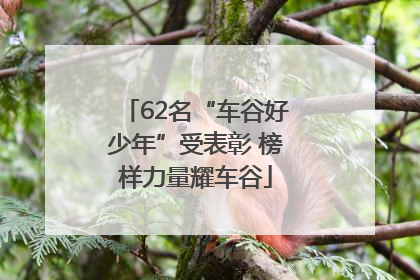 62名“车谷好少年”受表彰 榜样力量耀车谷