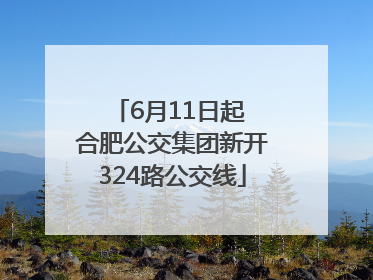 6月11日起 合肥公交集团新开324路公交线
