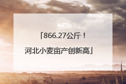 866.27公斤！河北小麦亩产创新高