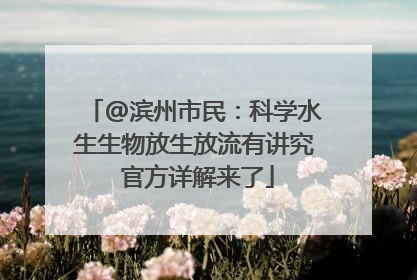 @滨州市民：科学水生生物放生放流有讲究 官方详解来了
