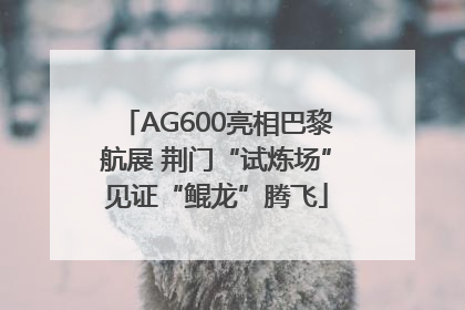 AG600亮相巴黎航展 荆门“试炼场”见证“鲲龙”腾飞