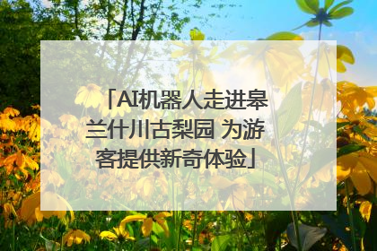 AI机器人走进皋兰什川古梨园 为游客提供新奇体验