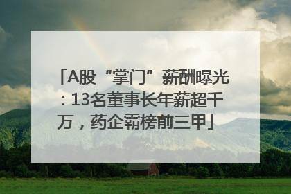 A股“掌门”薪酬曝光：13名董事长年薪超千万，药企霸榜前三甲