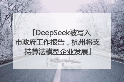 DeepSeek被写入市政府工作报告，杭州将支持算法模型企业发展
